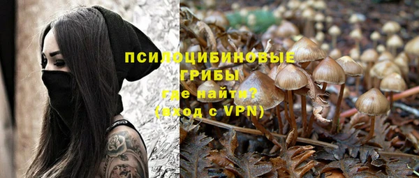 каннабис Арсеньев